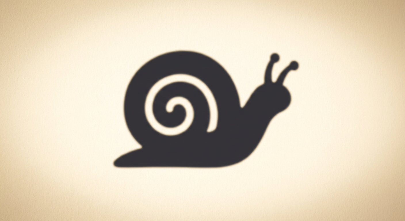 snail shadow